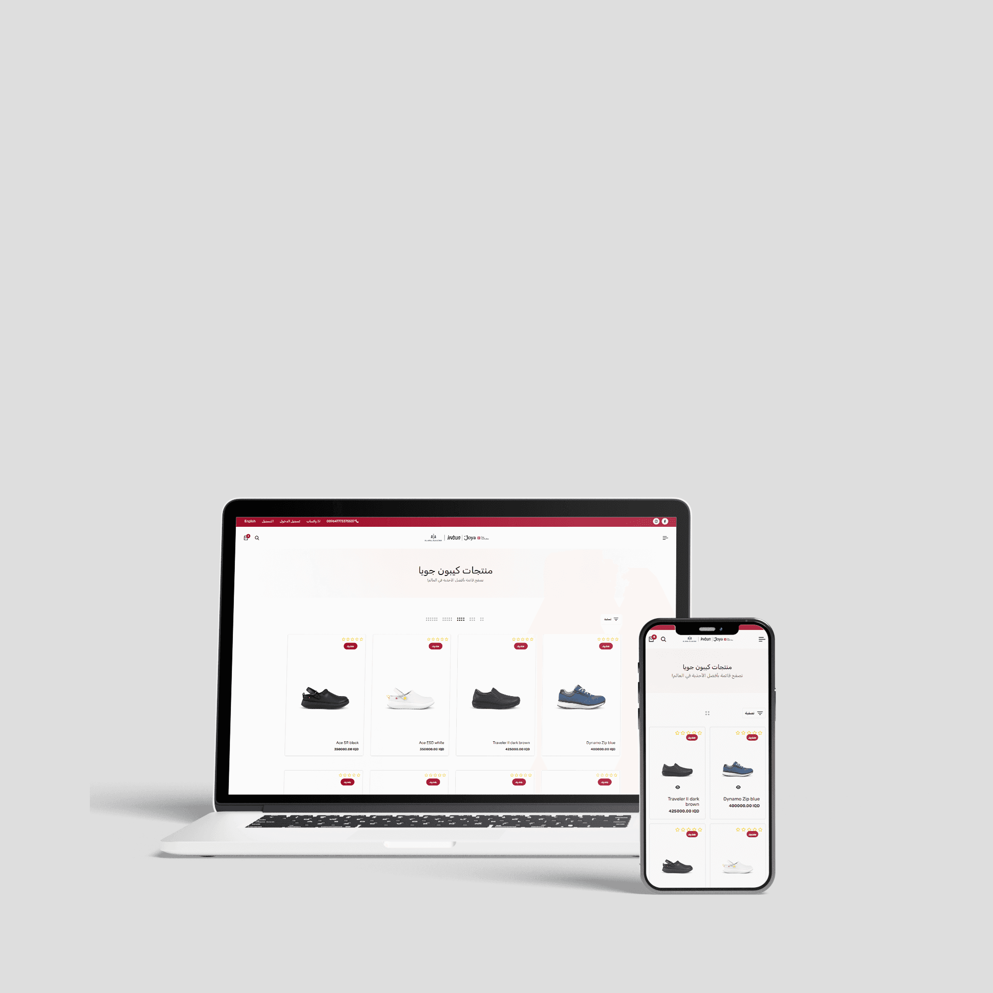 Project Preview 2